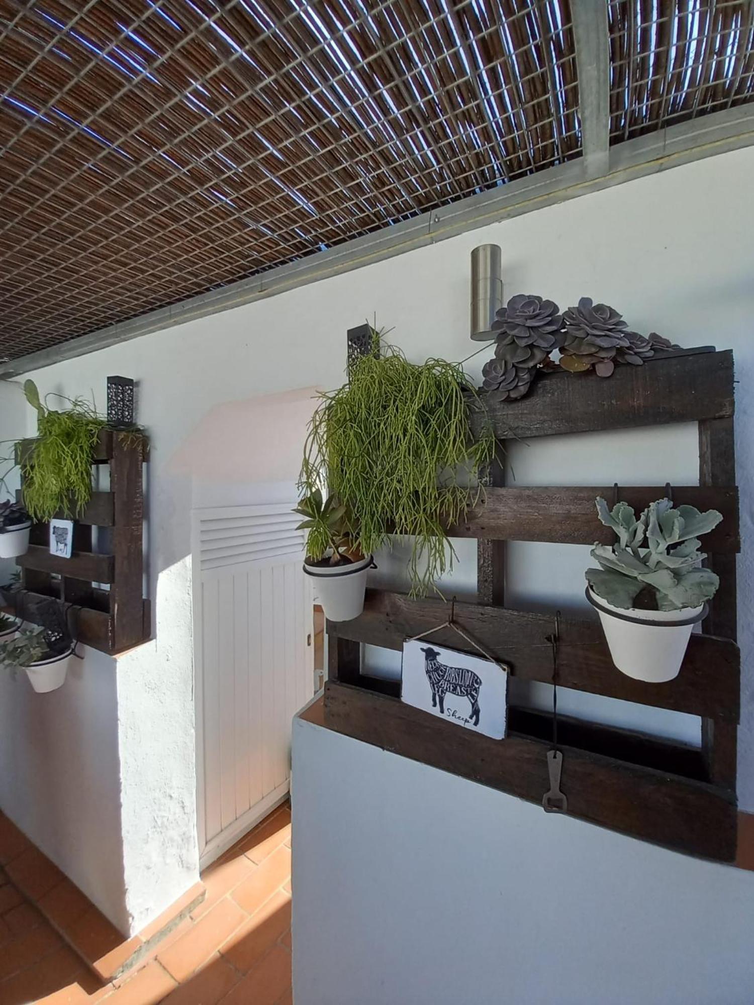 Casa El Molino Villa Conil De La Frontera Eksteriør bilde